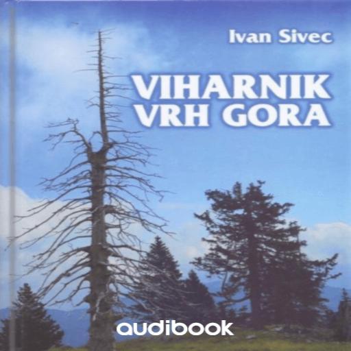 book cover for Viharnik vrh gora