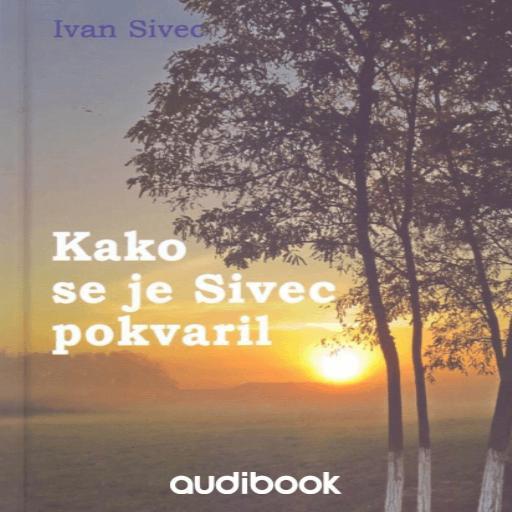 book cover for Kako se je Sivec pokvaril