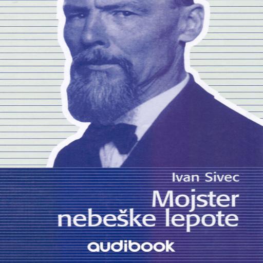 book cover for Mojster nebeške lepote