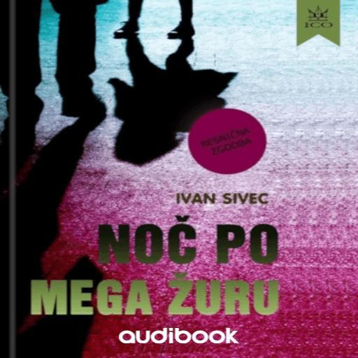 book cover for Noč po mega žuru