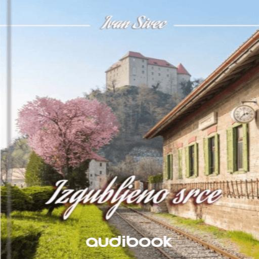 book cover for Izgubljeno srce