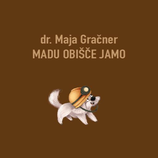 book cover for Madu obišče jamo