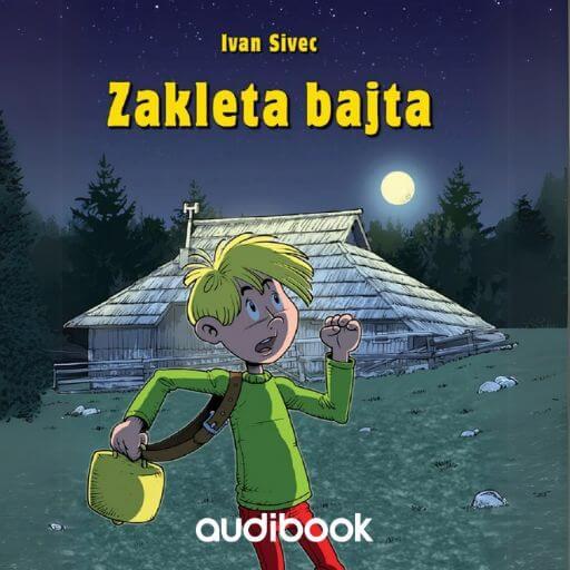 book cover for Zakleta bajta