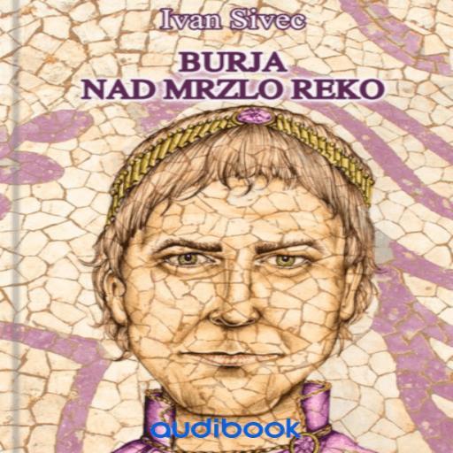 book cover for Burja nad mrzlo reko