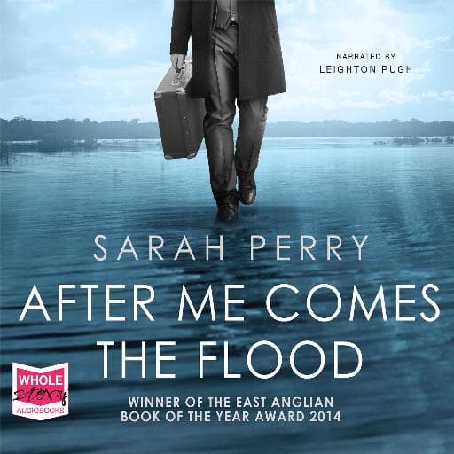 book cover for After Me Comes the Flood