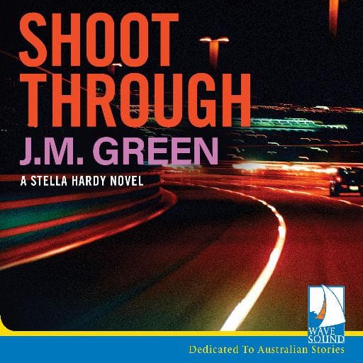 book cover for Shoot through