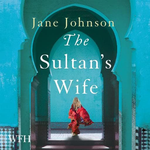 book cover for The Sultan's Wife