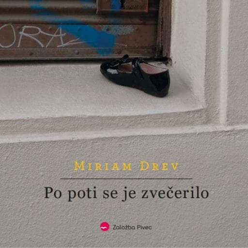 book cover for Po poti se je zvečerilo