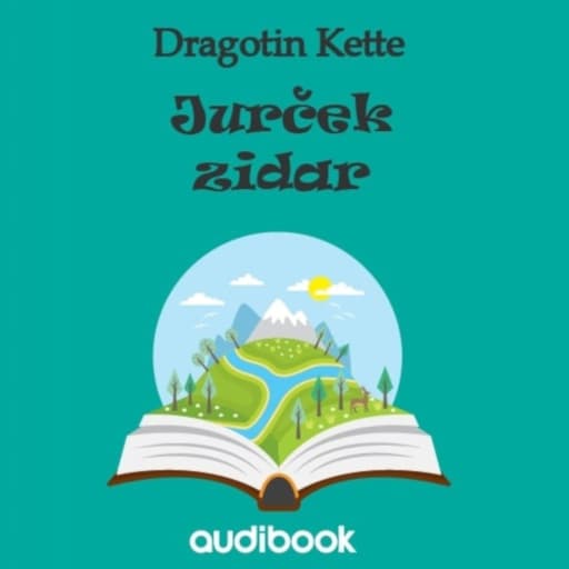 book cover for Jurček zidar