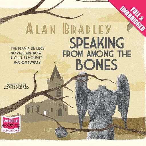 book cover for Speaking From Among the Bones