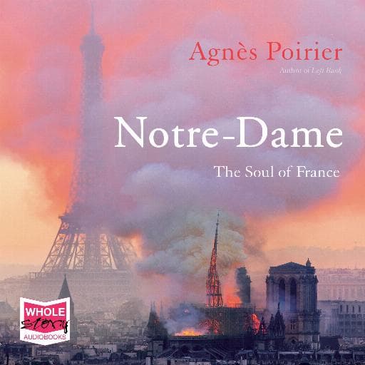 book cover for Notre-Dame