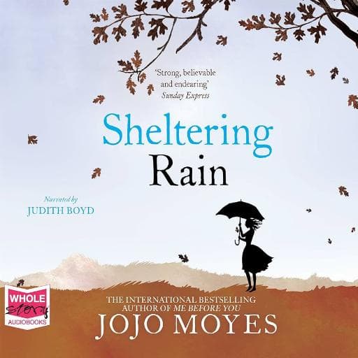 book cover for Sheltering Rain