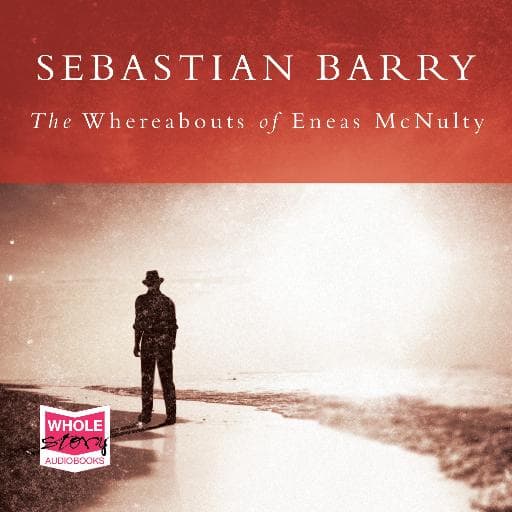 book cover for The Whereabouts of Eneas McNulty