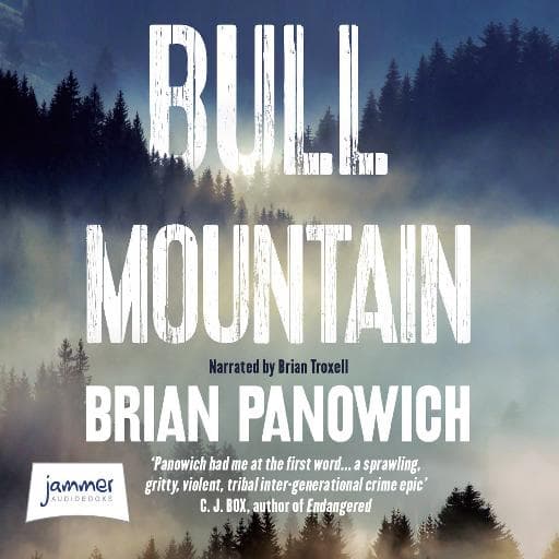 book cover for Bull Mountain