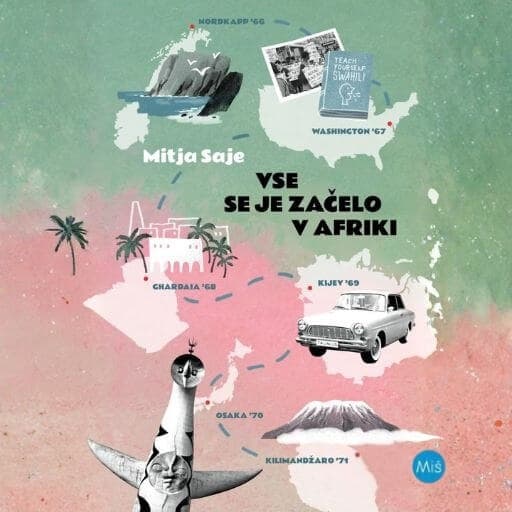 book cover for Vse se je začelo v Afriki