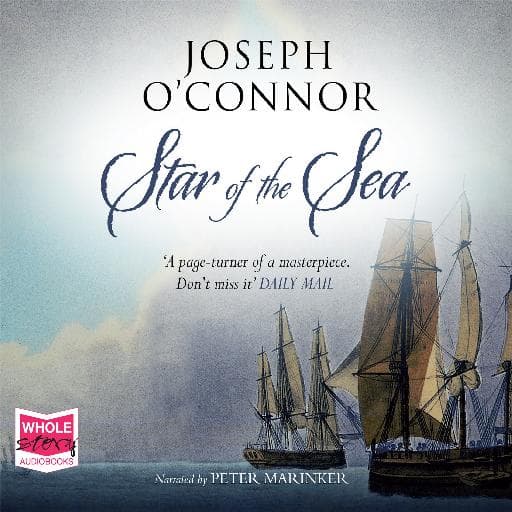book cover for Star of the Sea