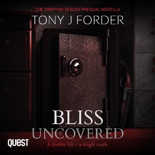 book cover for Bliss Uncovered