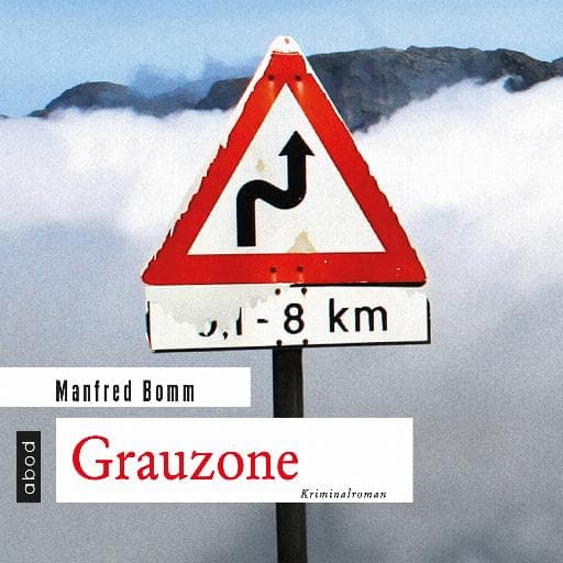 book cover for Grauzone
