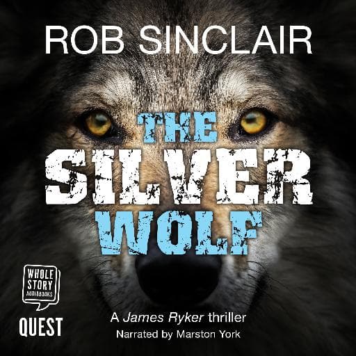 book cover for The Silver Wolf
