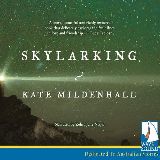 book cover for Skylarking