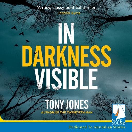 book cover for In Darkness Visible