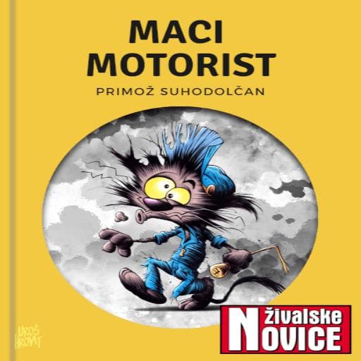 book cover for Maci motorist
