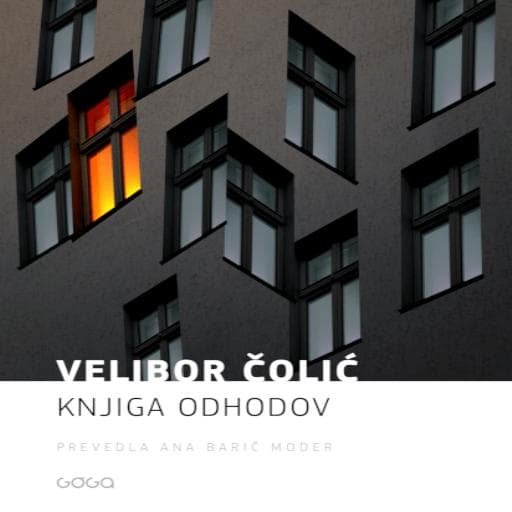 book cover for Knjiga odhodov