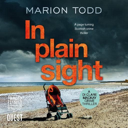 book cover for In Plain Sight
