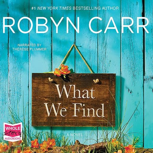 book cover for What We Find