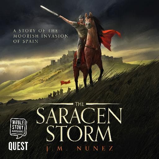 book cover for The Saracen Storm