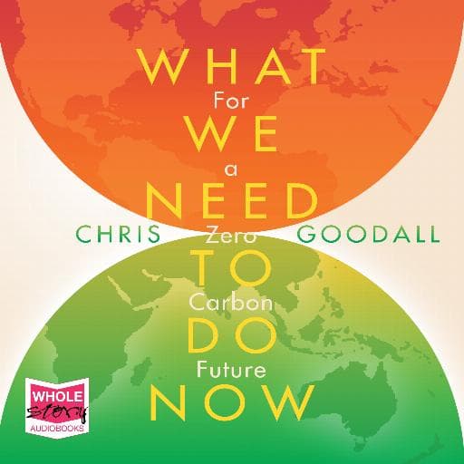 book cover for What We Need to Do Now