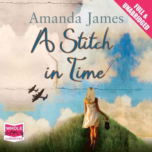 book cover for A Stitch in Time