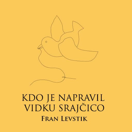 book cover for Kdo je napravil Vidku srajčico