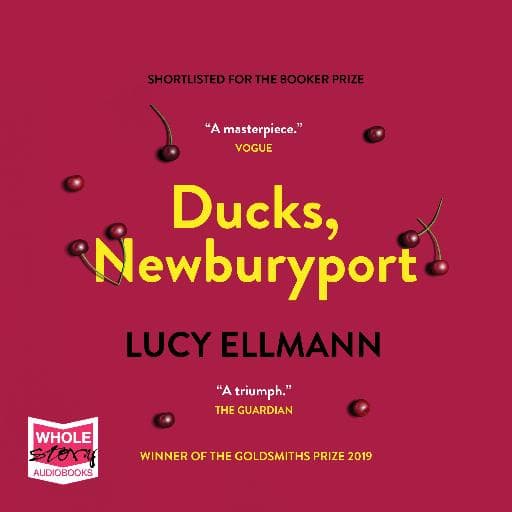book cover for Ducks, Newburyport