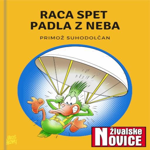 book cover for Raca spet padla z neba