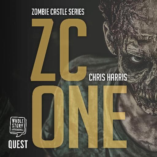 book cover for ZC One