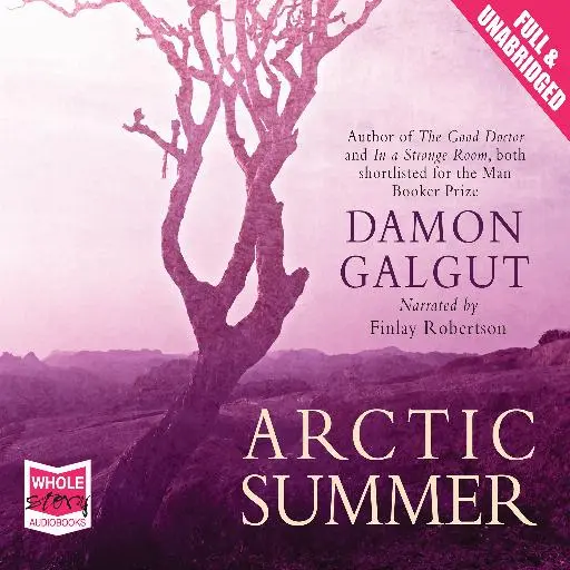 book cover for Arctic Summer