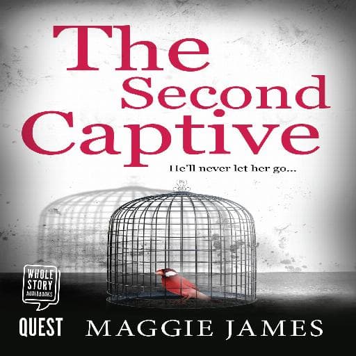 book cover for The Second Captive