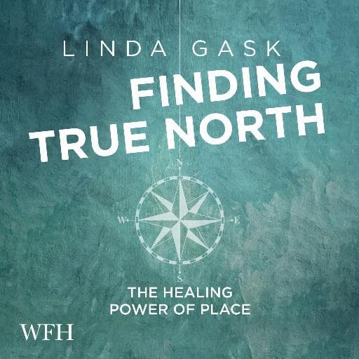 book cover for Finding True North