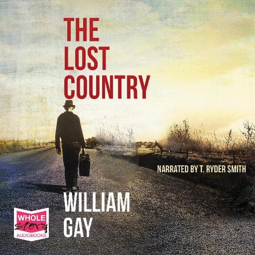 book cover for The Lost Country