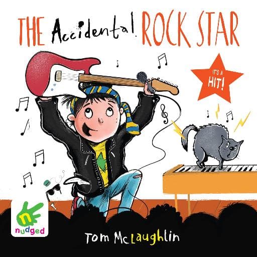book cover for The Accidental Rock Star