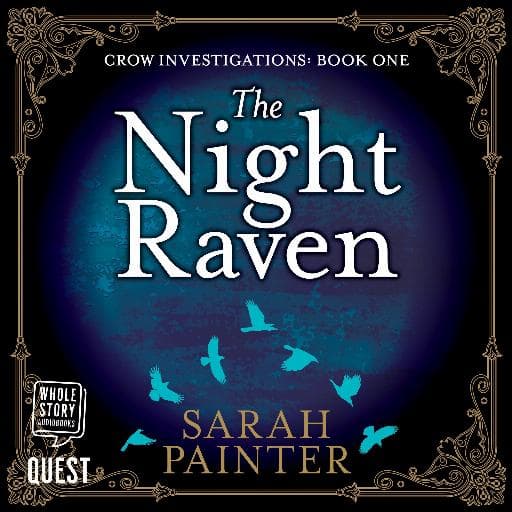 book cover for The Night Raven