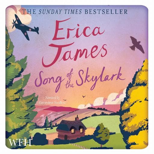 book cover for Song of the Skylark