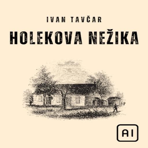 book cover for Holekova Nežika