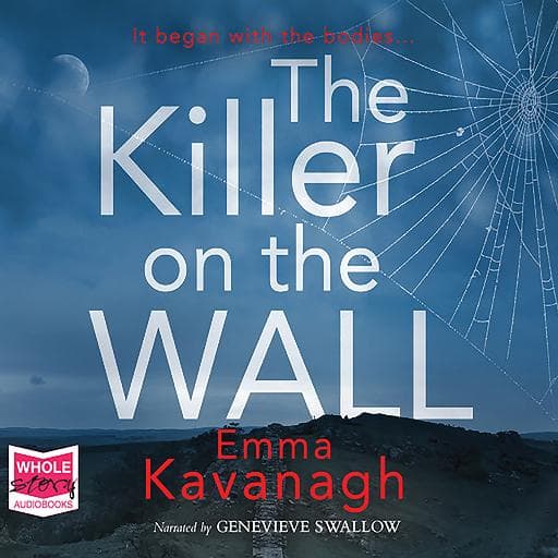 book cover for The Killer On The Wall