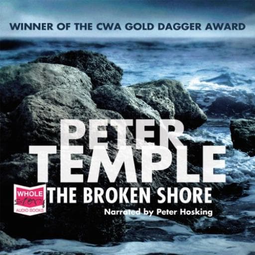 book cover for The Broken Shore