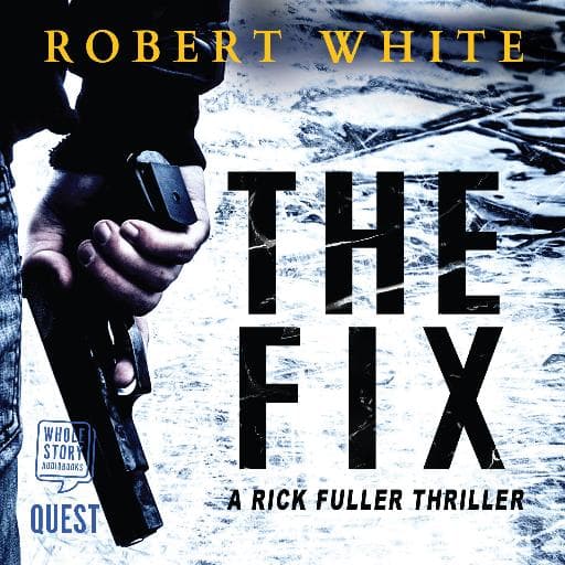 book cover for The Fix