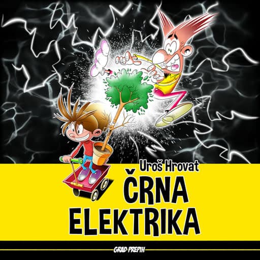 book cover for Črna elektrika