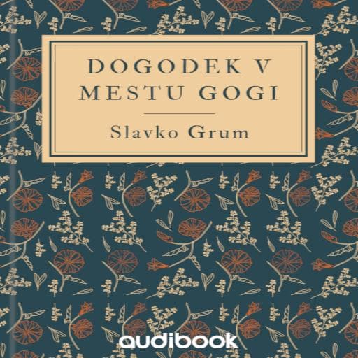 book cover for Dogodek v mestu Gogi
