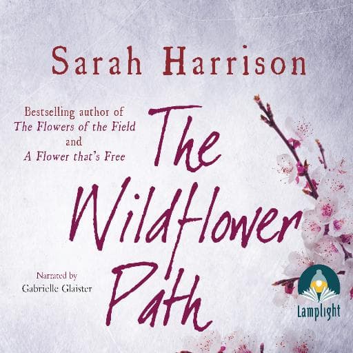 book cover for The Wildflower Path